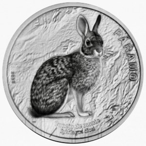 Горный кролик, серии "Фауна экосистем Коста Рика". 50 колон (Коста Рика, 2025 года)